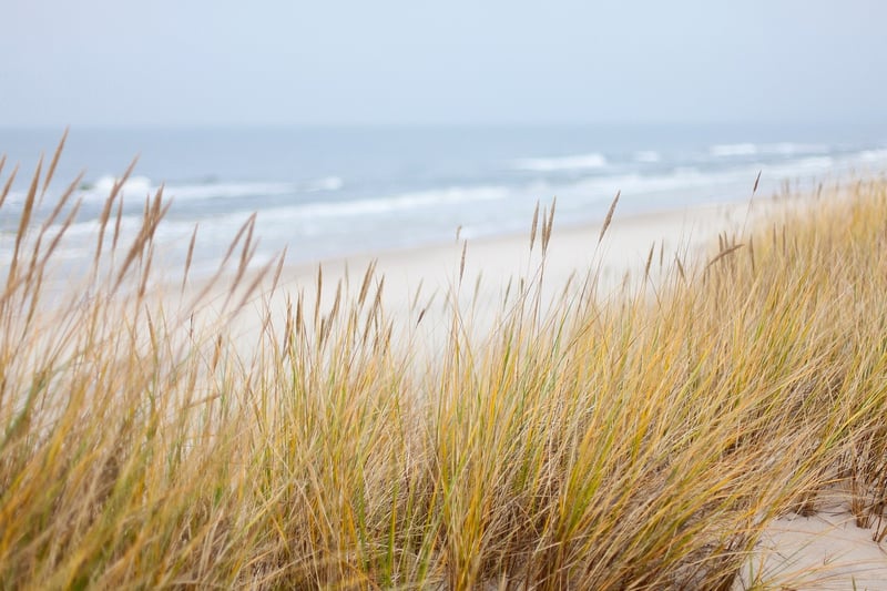 Coastal Hikes