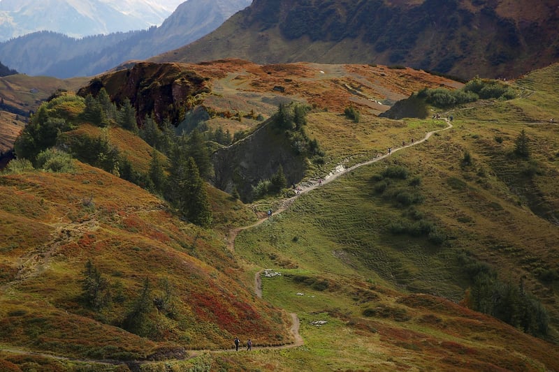 Photographic Tours